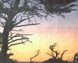 PASSIVE SOLAR ENERGY - IMAGE 04