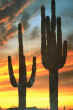 PASSIVE SOLAR ENERGY - IMAGE 12