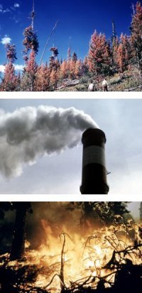climate series