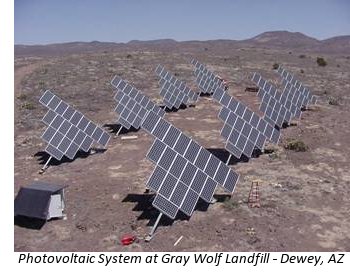 gray-wolf-landfill.jpg