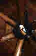 LIVING WITH the SUN - IMAGE 21