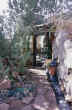 LIVING WITH the SUN - IMAGE 26