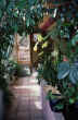 LIVING WITH the SUN - IMAGE 27