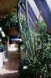 LIVING WITH the SUN - IMAGE 29