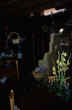 LIVING WITH the SUN - IMAGE 30