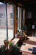LIVING WITH the SUN - IMAGE 36