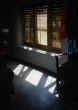 LIVING WITH the SUN - IMAGE 187