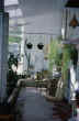 LIVING WITH the SUN - IMAGE 70