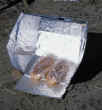 LIVING WITH the SUN - IMAGE 103