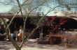 LIVING WITH the SUN - IMAGE 162