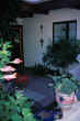 LIVING WITH the SUN - IMAGE 177