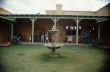 LIVING WITH the SUN - IMAGE 150